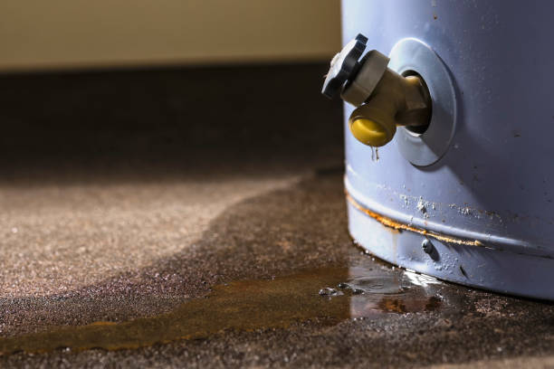 Best Water damage restoration services  in Montgomeryville, PA