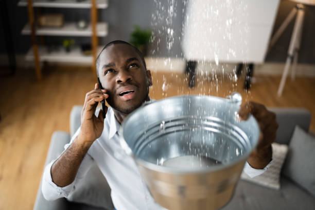 Best Flood restoration services  in Montgomeryville, PA