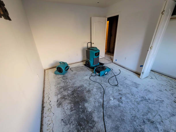 Best Local water damage restoration  in Montgomeryville, PA