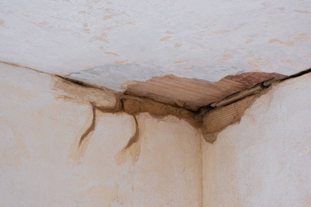 Best 24/7 water damage repair  in Montgomeryville, PA