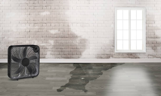 Best Water damage cleanup near me  in Montgomeryville, PA