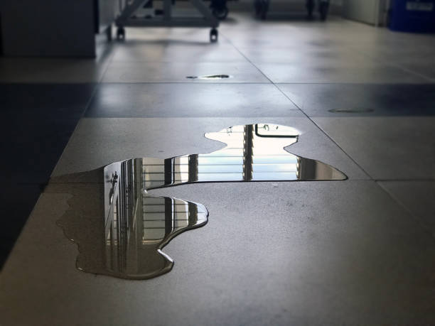 Best Water damage restoration near me  in Montgomeryville, PA