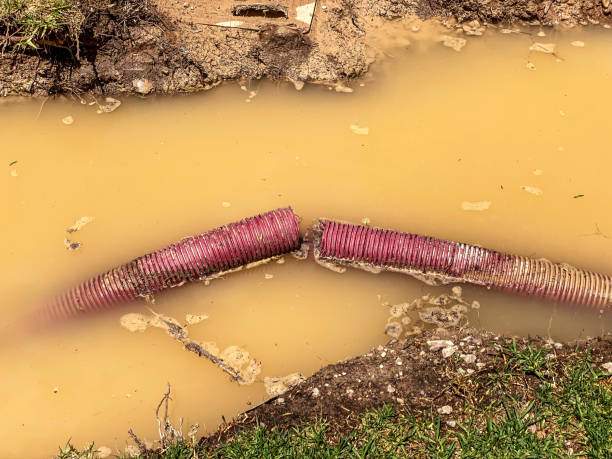 Best Water damage contractors near me  in Montgomeryville, PA