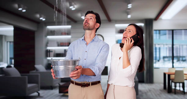 Best Professional water damage repair  in Montgomeryville, PA