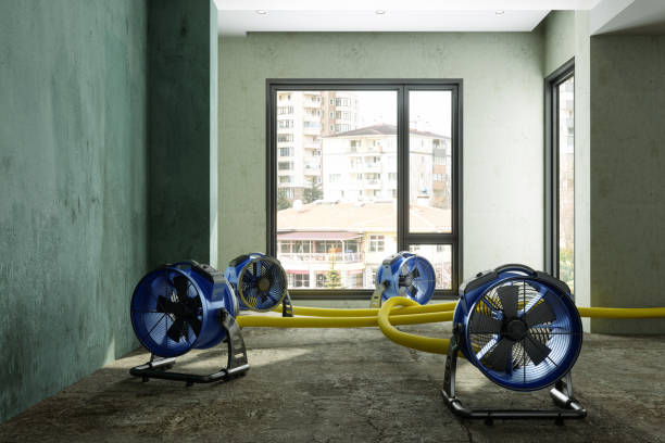 Best Professional water damage repair  in Montgomeryville, PA
