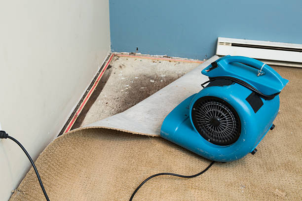Best Mold removal after water damage  in Montgomeryville, PA